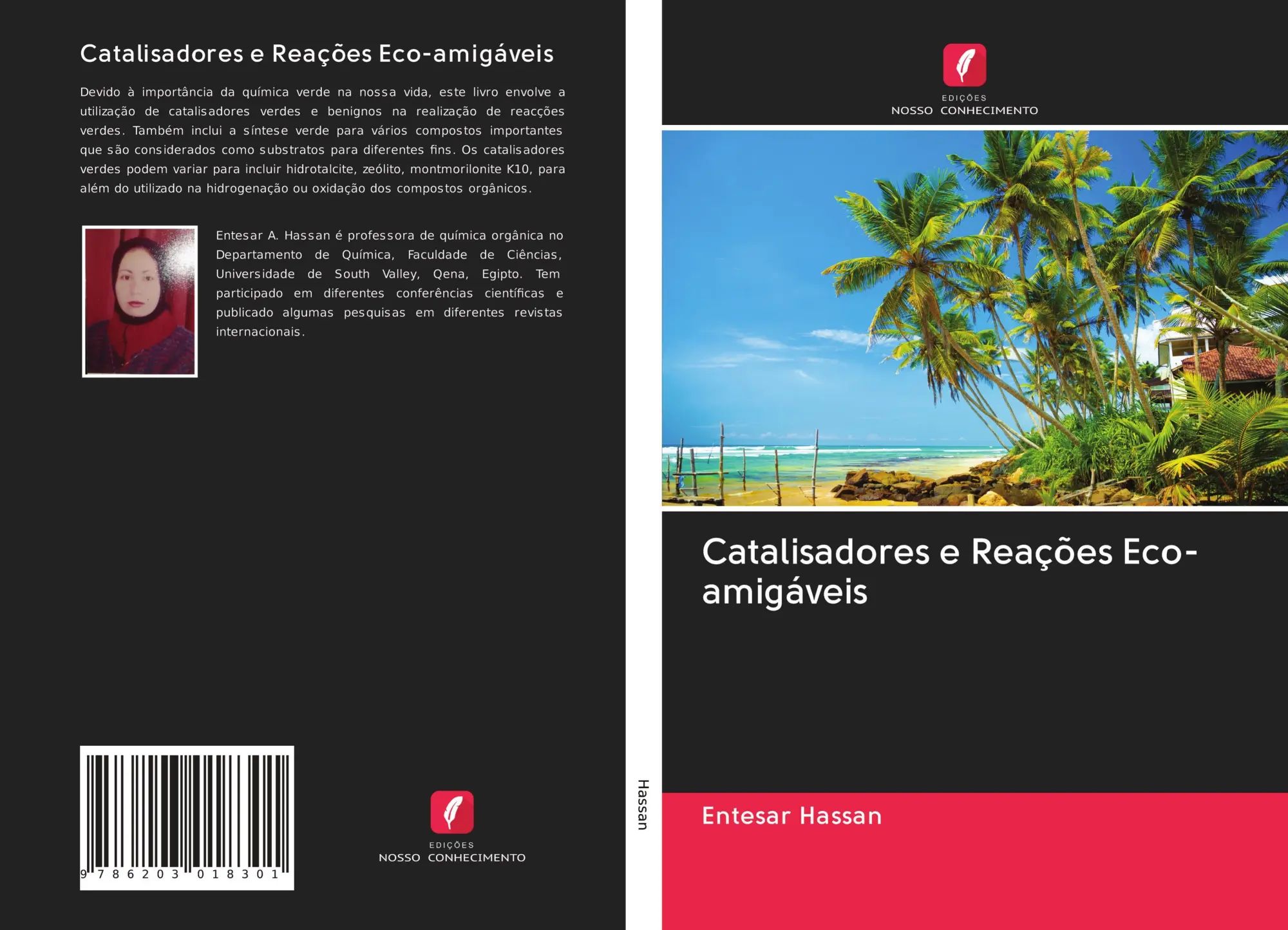 Catalisadores e Reações Eco-amigáveis / Entesar Hassan / Taschenbuch / Portugiesisch / 2020 / Edições Nosso Conhecimento / EAN 9786203018301 - Hassan, Entesar