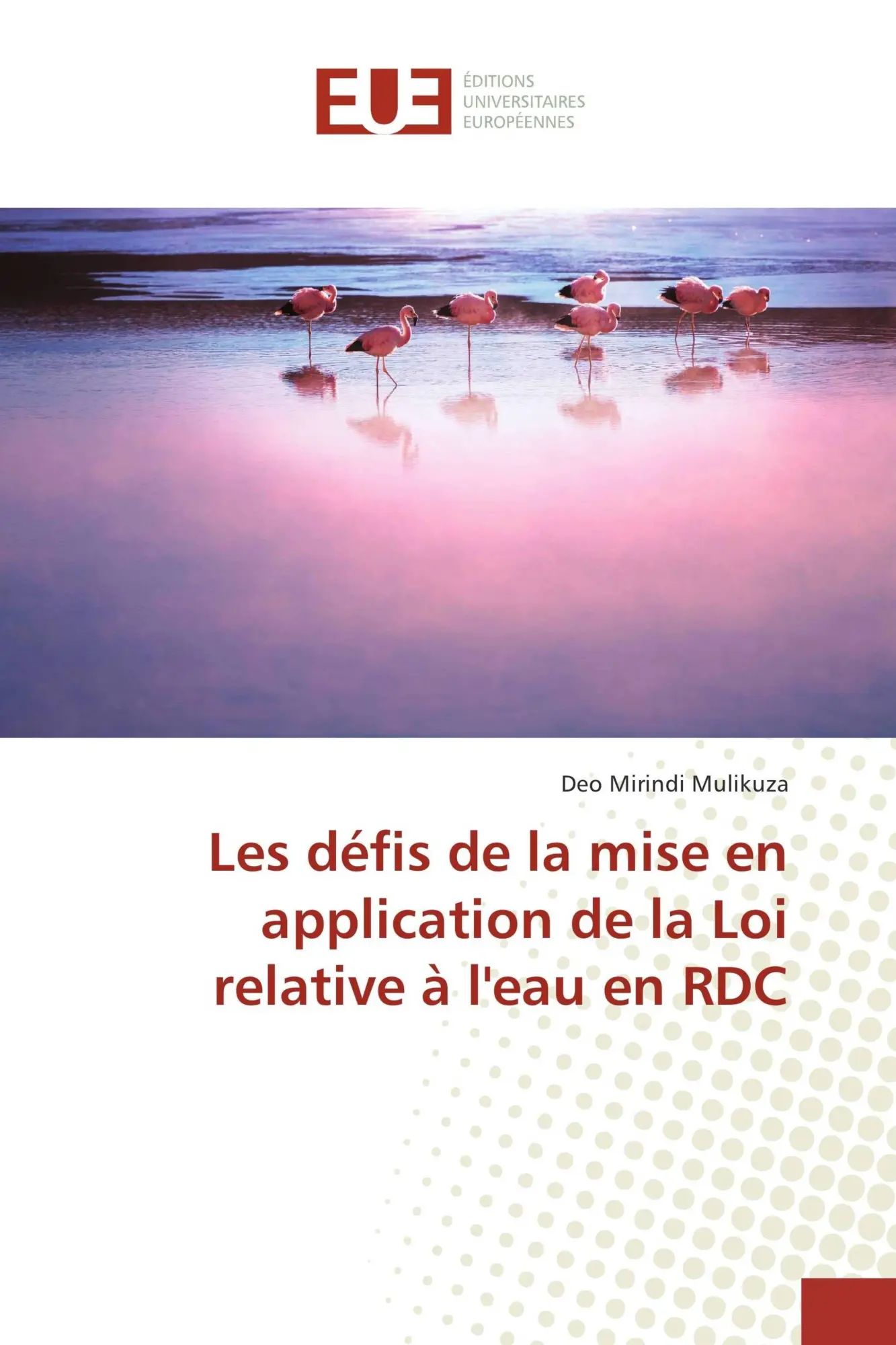Les défis de la mise en application de la Loi relative à l'eau en RDC / Deo Mirindi Mulikuza / Taschenbuch / 92 S. / Französisch / 2017 / Éditions universitaires européennes / EAN 9783841666406 - Mirindi Mulikuza, Deo