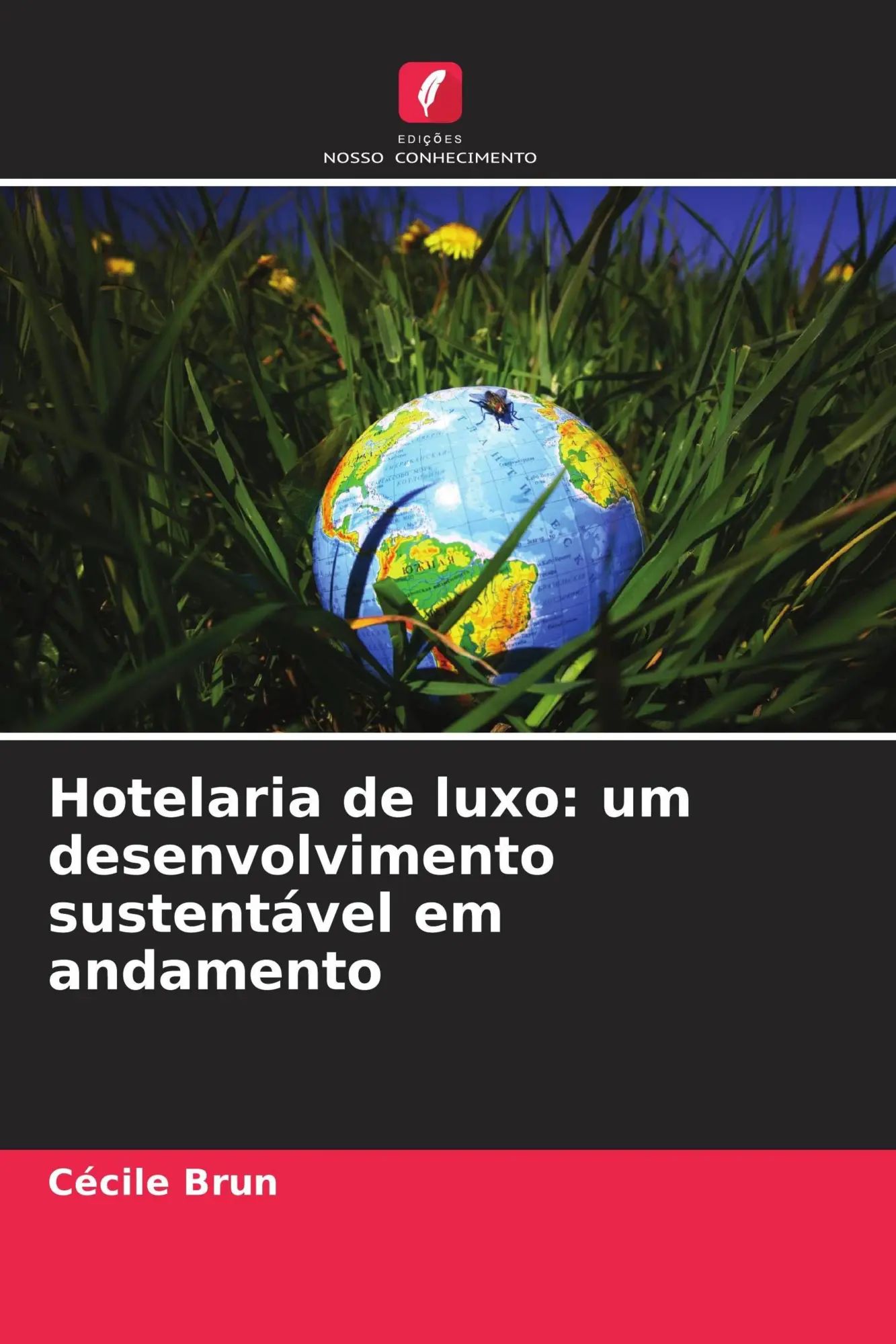 Hotelaria de luxo: um desenvolvimento sustentável em andamento / Cécile Brun / Taschenbuch / Portugiesisch / 2026 / Edições Nosso Conhecimento / EAN 9786209510311 - Brun, Cécile