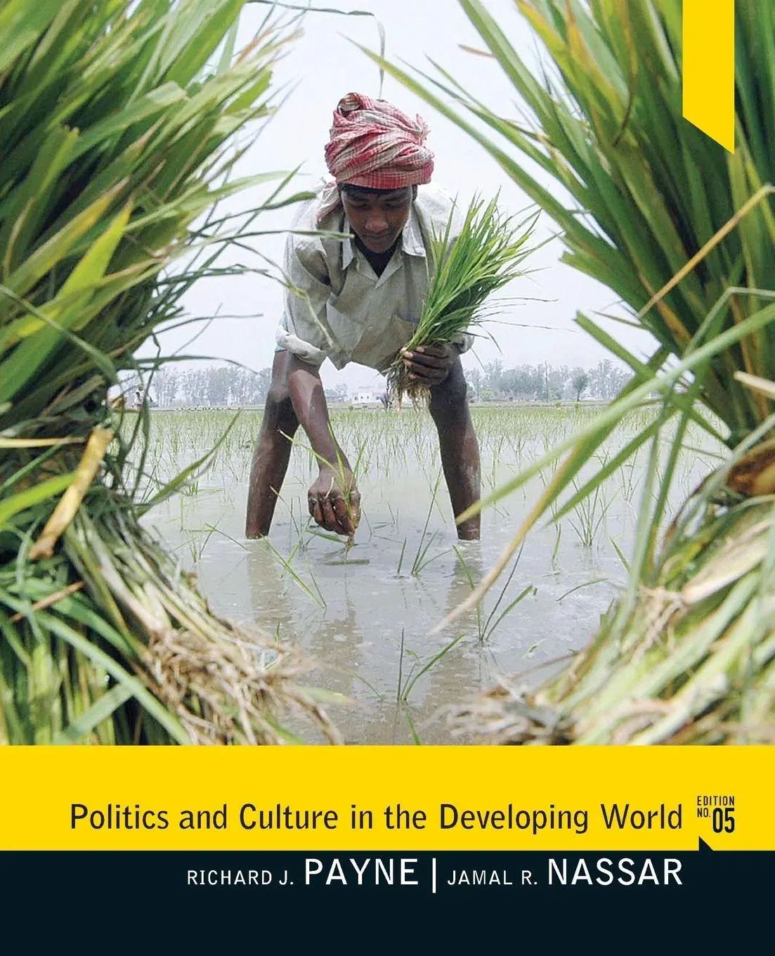 Politics and Culture in the Developing World / Richard J. Payne (u. a.) / Taschenbuch / Einband - flex.(Paperback) / Englisch / 1981 / Routledge / EAN 9780205075911 - Payne, Richard J.