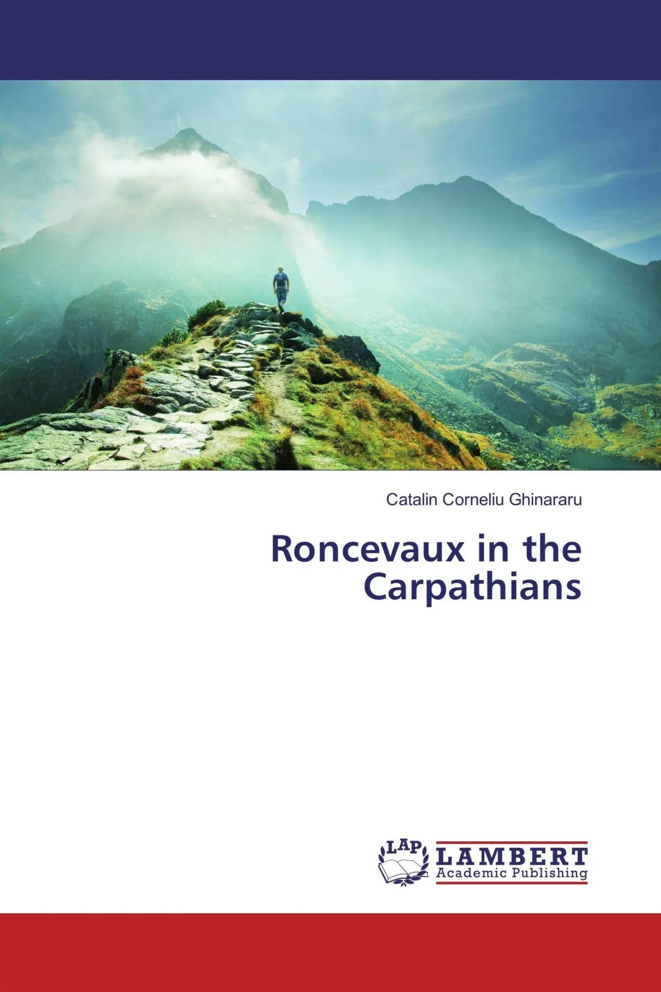 Roncevaux in the Carpathians / Catalin Corneliu Ghinararu / Taschenbuch / 88 S. / Englisch / 2017 / LAP LAMBERT Academic Publishing / EAN 9783659120312 - Ghinararu, Catalin Corneliu