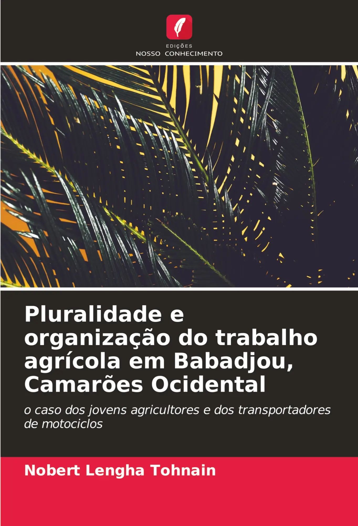 Pluralidade e organização do trabalho agrícola em Babadjou, Camarões Ocidental / o caso dos jovens agricultores e dos transportadores de motociclos / Nobert Lengha Tohnain / Taschenbuch / Paperback - Tohnain, Nobert Lengha