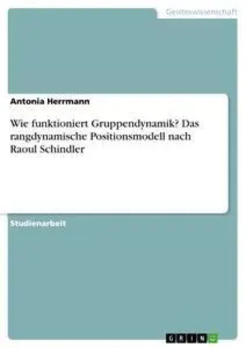 Wie funktioniert Gruppendynamik? Das rangdynamische Positionsmodell nach Raoul Schindler / Antonia Herrmann / Taschenbuch / 24 S. / Deutsch / 2019 / GRIN Verlag / EAN 9783668944916 - Herrmann, Antonia