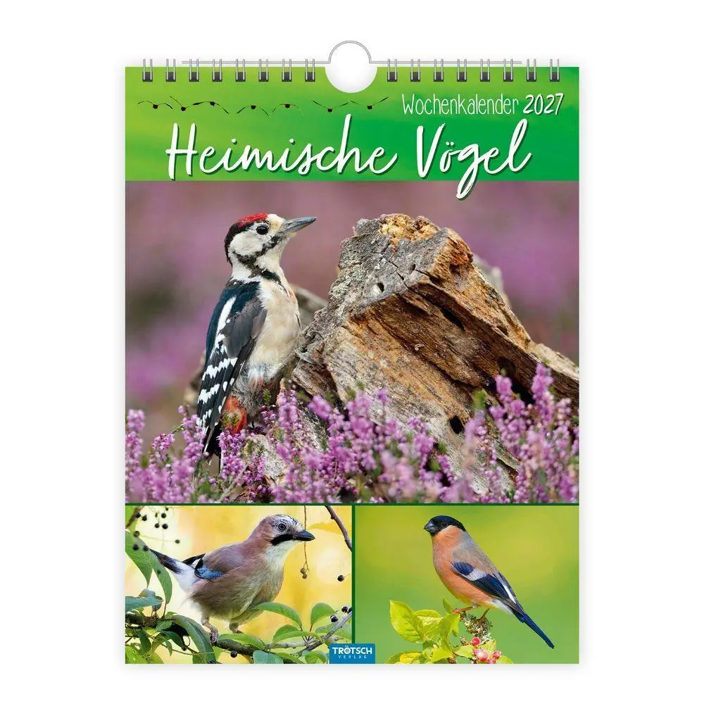 TRÖTSCH - Wochenkalender zum Hängen Heimische Vögel 2027 | Wandkalender | KG - Image 6
