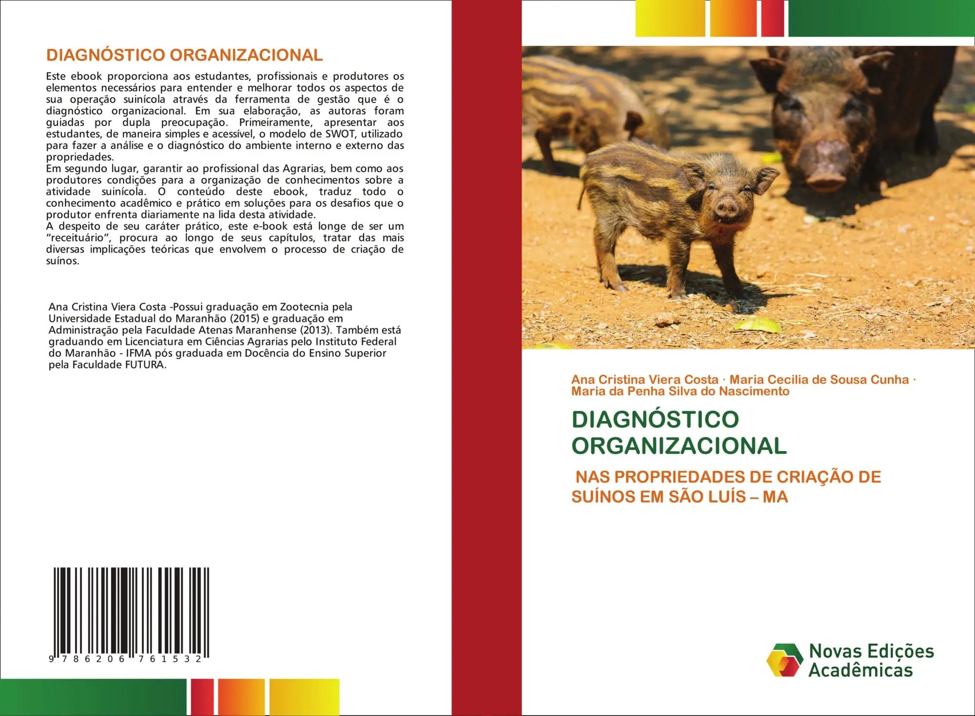 DIAGNÓSTICO ORGANIZACIONAL / NAS PROPRIEDADES DE CRIAÇÃO DE SUÍNOS EM SÃO LUÍS - MA / Ana Cristina Viera Costa (u. a.) / Taschenbuch / Portugiesisch / 2024 / Novas Edições Acadêmicas - Costa, Ana Cristina Viera