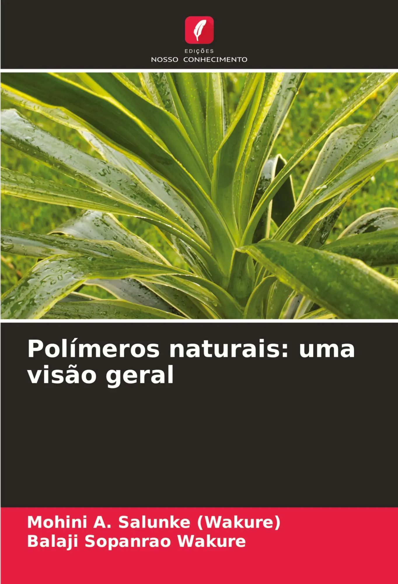 Polímeros naturais: uma visão geral / Mohini A. Salunke (u. a.) / Taschenbuch / Portugiesisch / 2024 / Edições Nosso Conhecimento / EAN 9786207506040 - Salunke (Wakure), Mohini A.