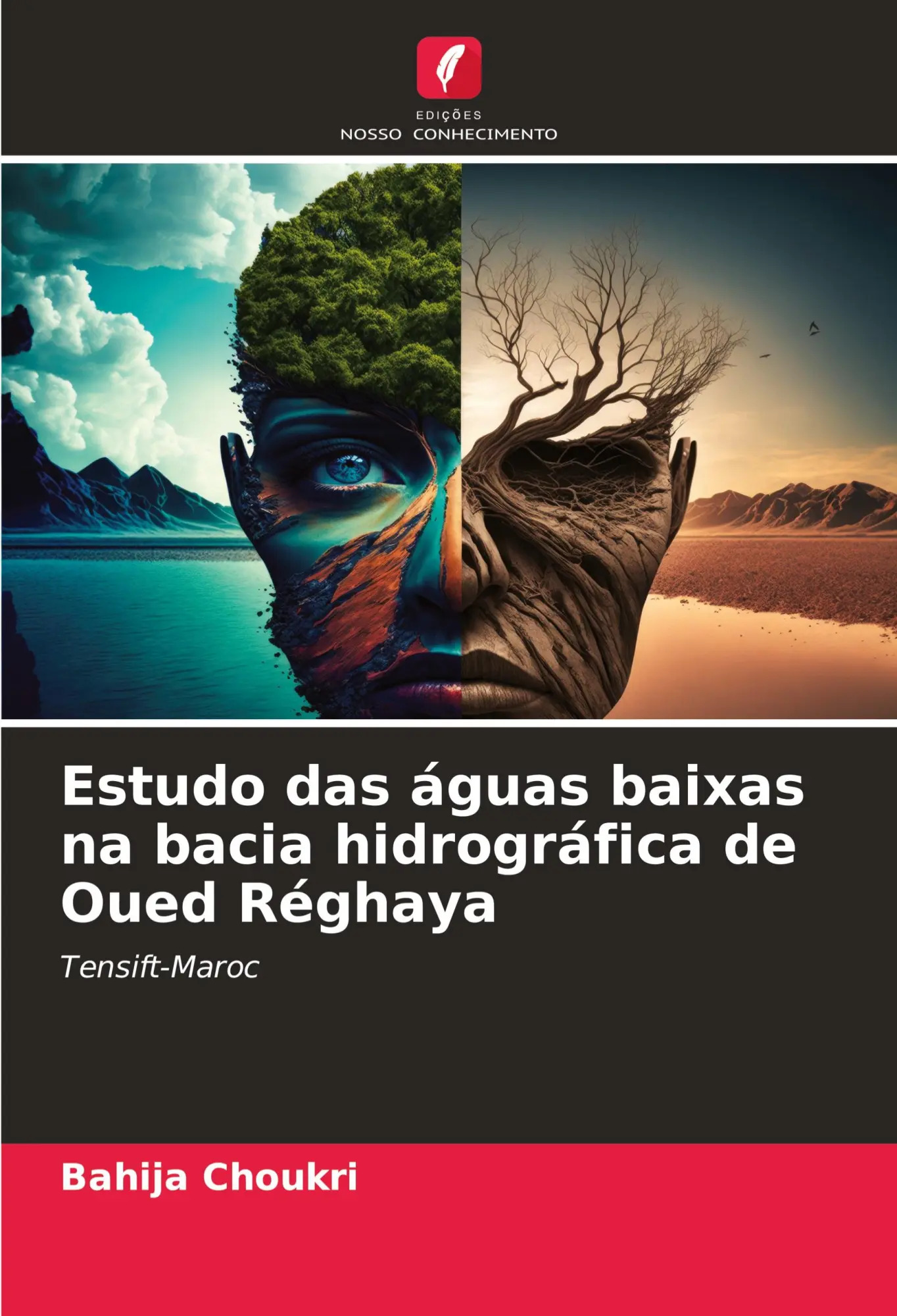 Estudo das águas baixas na bacia hidrográfica de Oued Réghaya / Tensift-Maroc / Bahija Choukri / Taschenbuch / Paperback / Portugiesisch / 2023 / Edições Nosso Conhecimento / EAN 9786206621645 - Choukri, Bahija