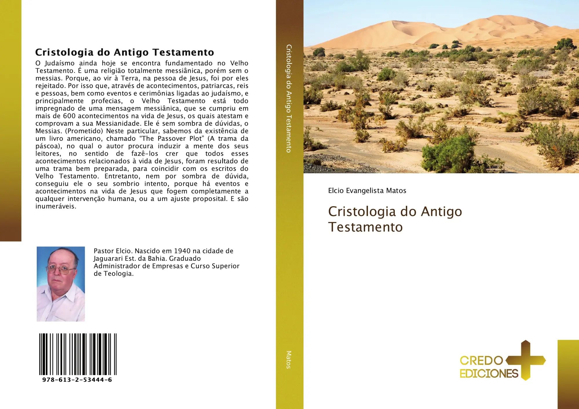 Cristologia do Antigo Testamento / Elcio Evangelista Matos / Taschenbuch / Portugiesisch / 2019 / CREDO EDICIONES / EAN 9786132534446 - Matos, Elcio Evangelista