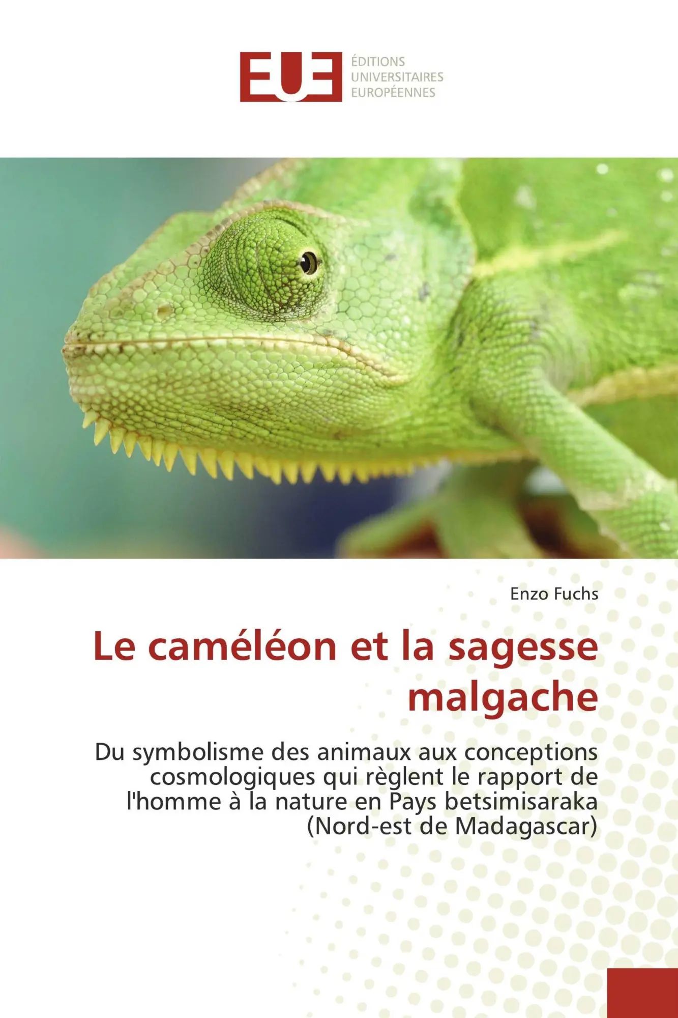 Le caméléon et la sagesse malgache / Du symbolisme des animaux aux conceptions cosmologiques qui règlent le rapport de l'homme à la nature en Pays betsimisaraka (Nord-est de Madagascar) / Enzo Fuchs - Fuchs, Enzo