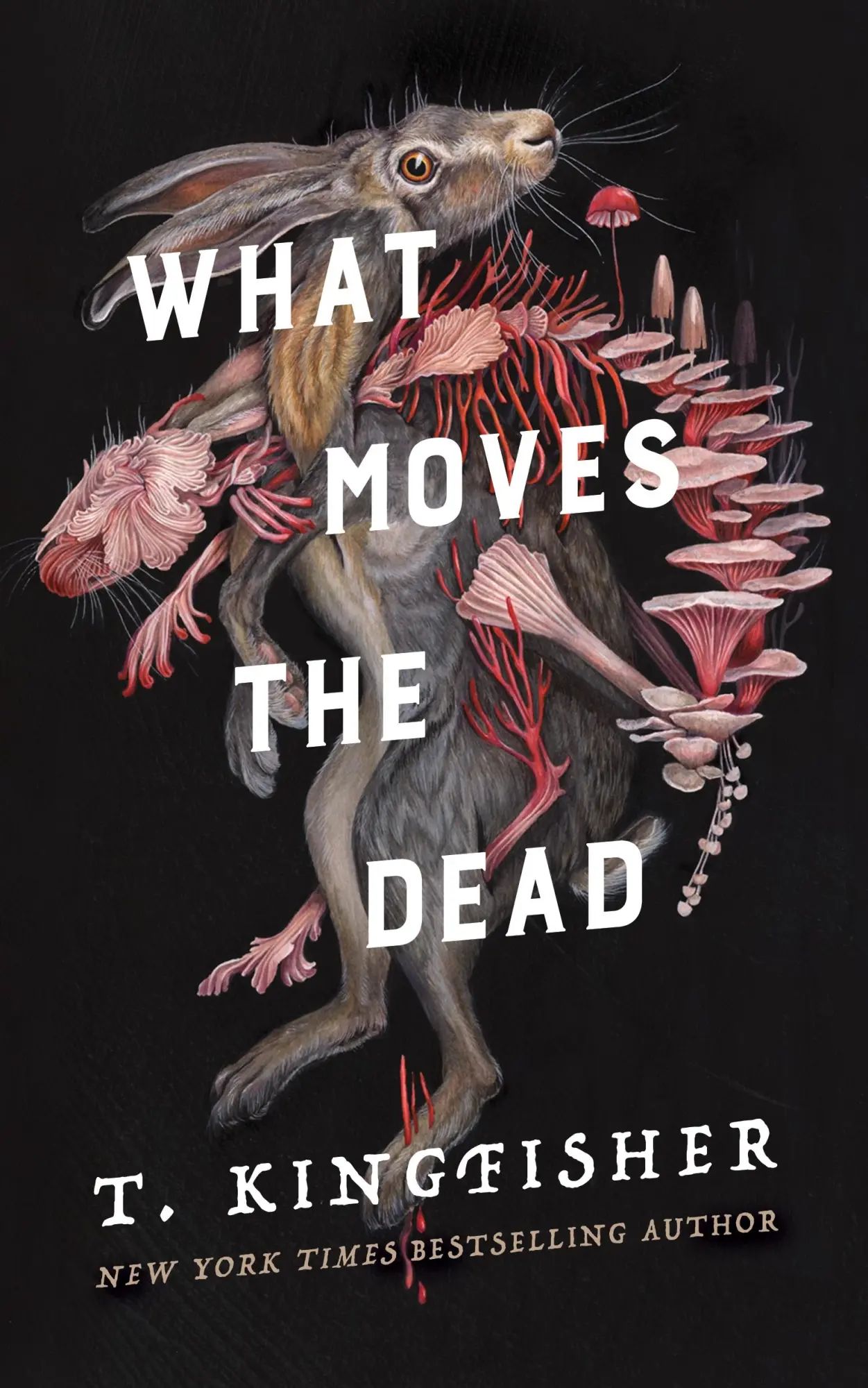 What Moves the Dead / T. Kingfisher / Buch / Gebunden / Englisch / 2022 / Tor Publishing Group / EAN 9781250830753 - Kingfisher, T.