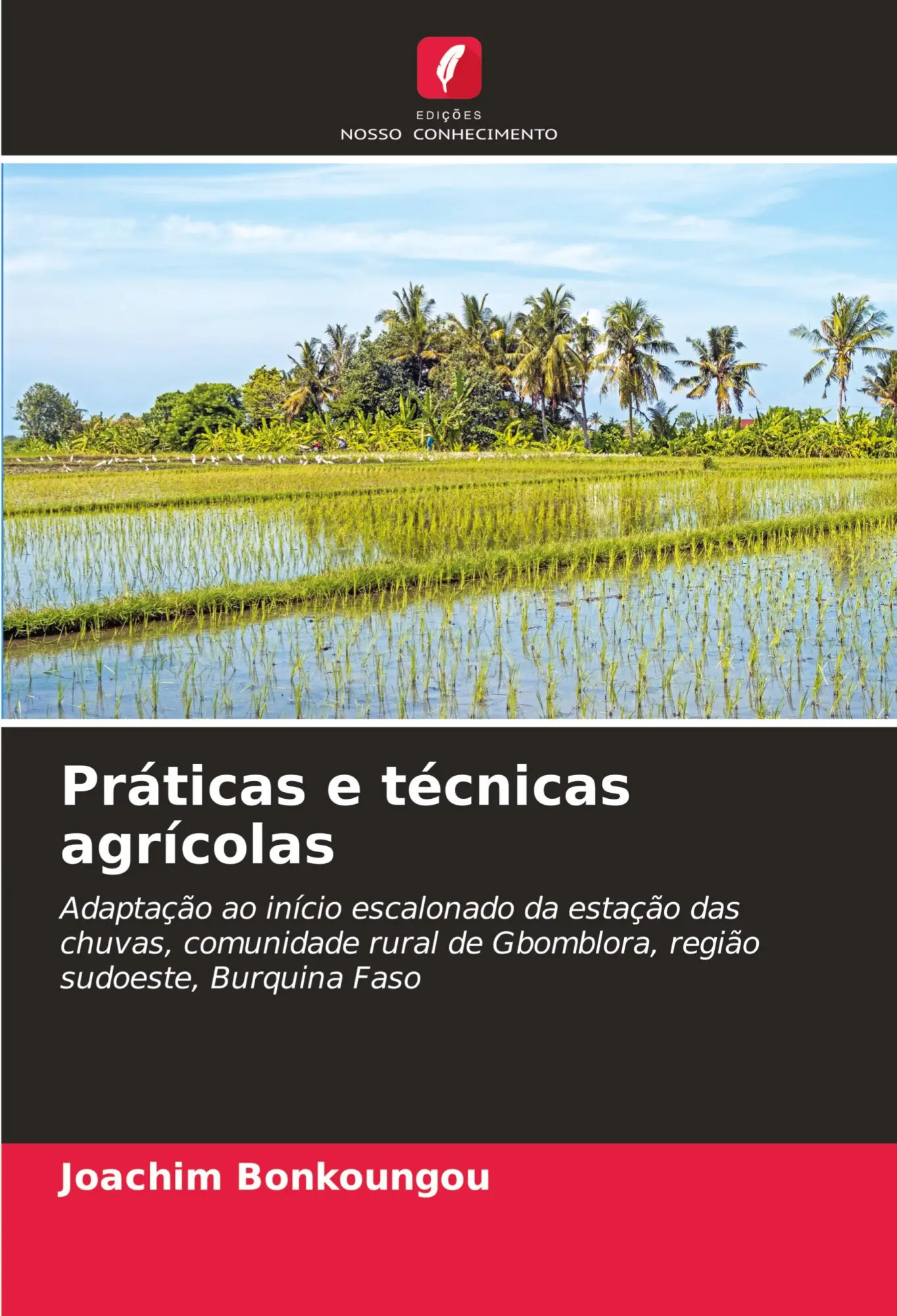 Práticas e técnicas agrícolas / Adaptação ao início escalonado da estação das chuvas, comunidade rural de Gbomblora, região sudoeste, Burquina Faso / Joachim Bonkoungou / Taschenbuch / Portugiesisch - Bonkoungou, Joachim