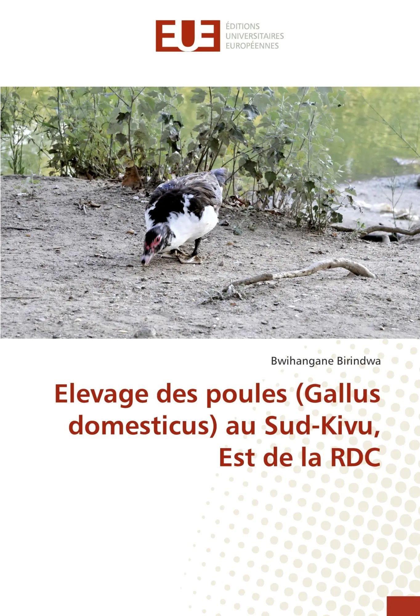 Elevage des poules (Gallus domesticus) au Sud-Kivu, Est de la RDC / Bwihangane Birindwa / Taschenbuch / 56 S. / Französisch / 2018 / Éditions universitaires européennes / EAN 9783841774880 - Birindwa, Bwihangane