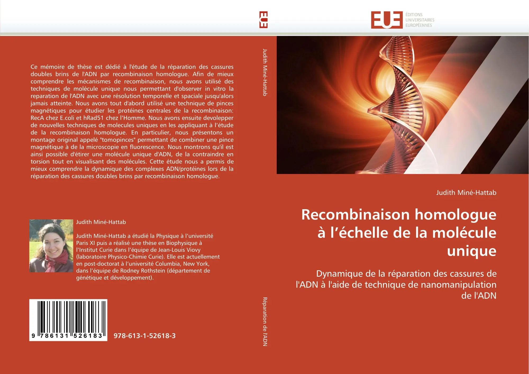 Recombinaison homologue à l''échelle de la molécule unique / Dynamique de la réparation des cassures de l''ADN à l''aide de technique de nanomanipulation de l''ADN / Judith Miné-Hattab / Taschenbuch - Miné-Hattab, Judith