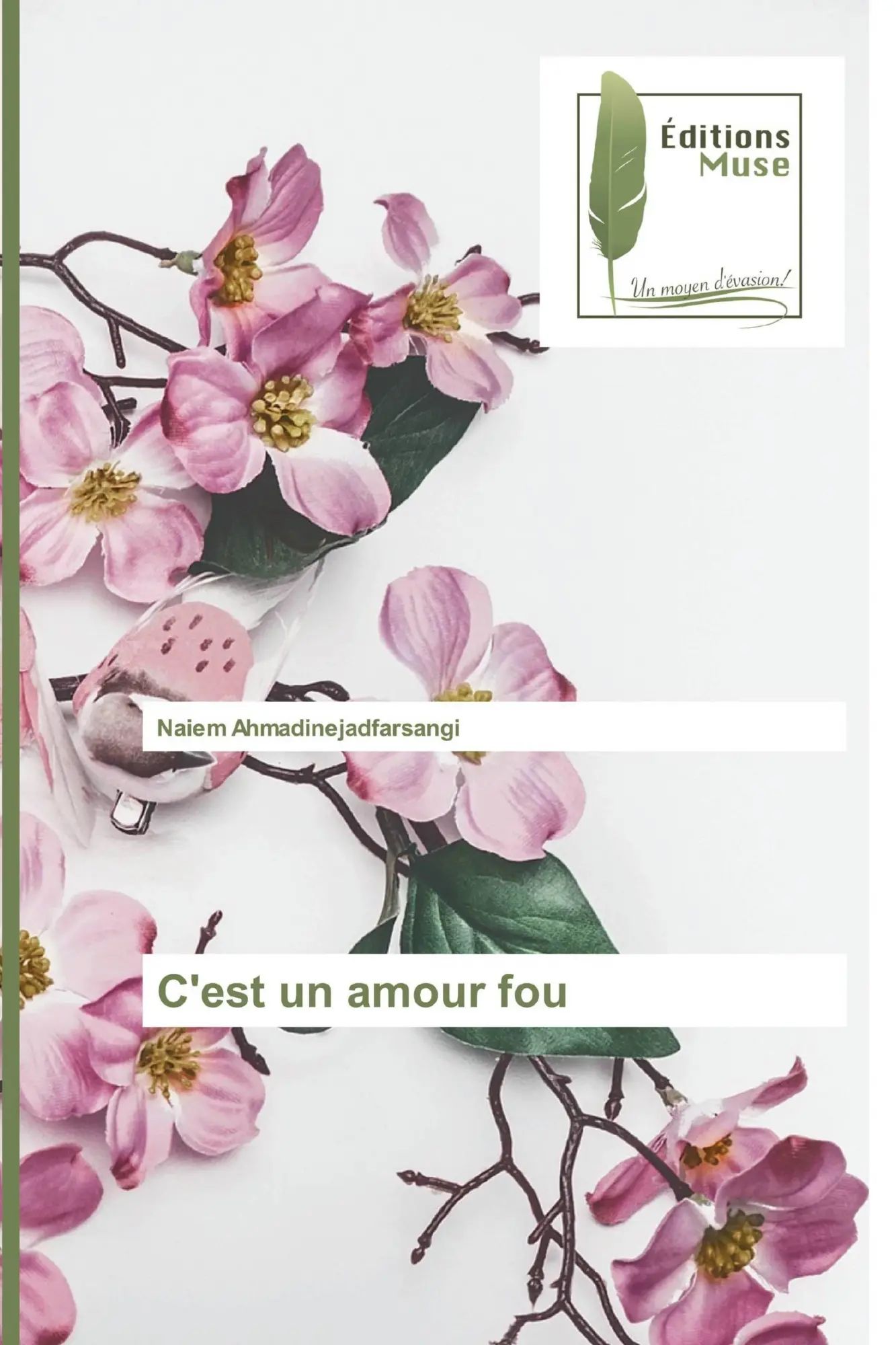 C'est un amour fou / Naiem Ahmadinejadfarsangi / Taschenbuch / 52 S. / Französisch / 2020 / Éditions Muse / EAN 9786202292399 - Ahmadinejadfarsangi, Naiem